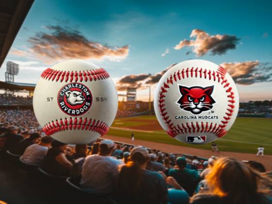 Wilson Warbirds vs. Charleston Riverdogs